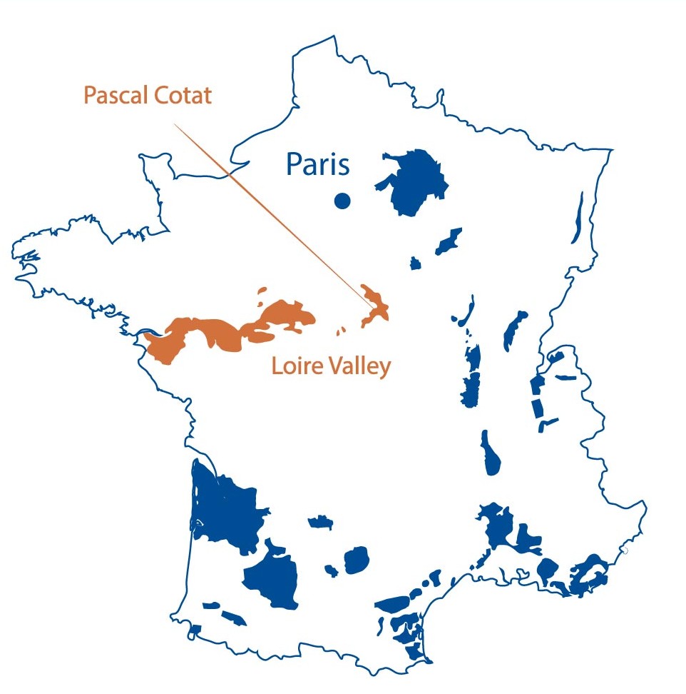 Domaine Pascal Cotat Sancerre Loire Valley North Berkeley Imports