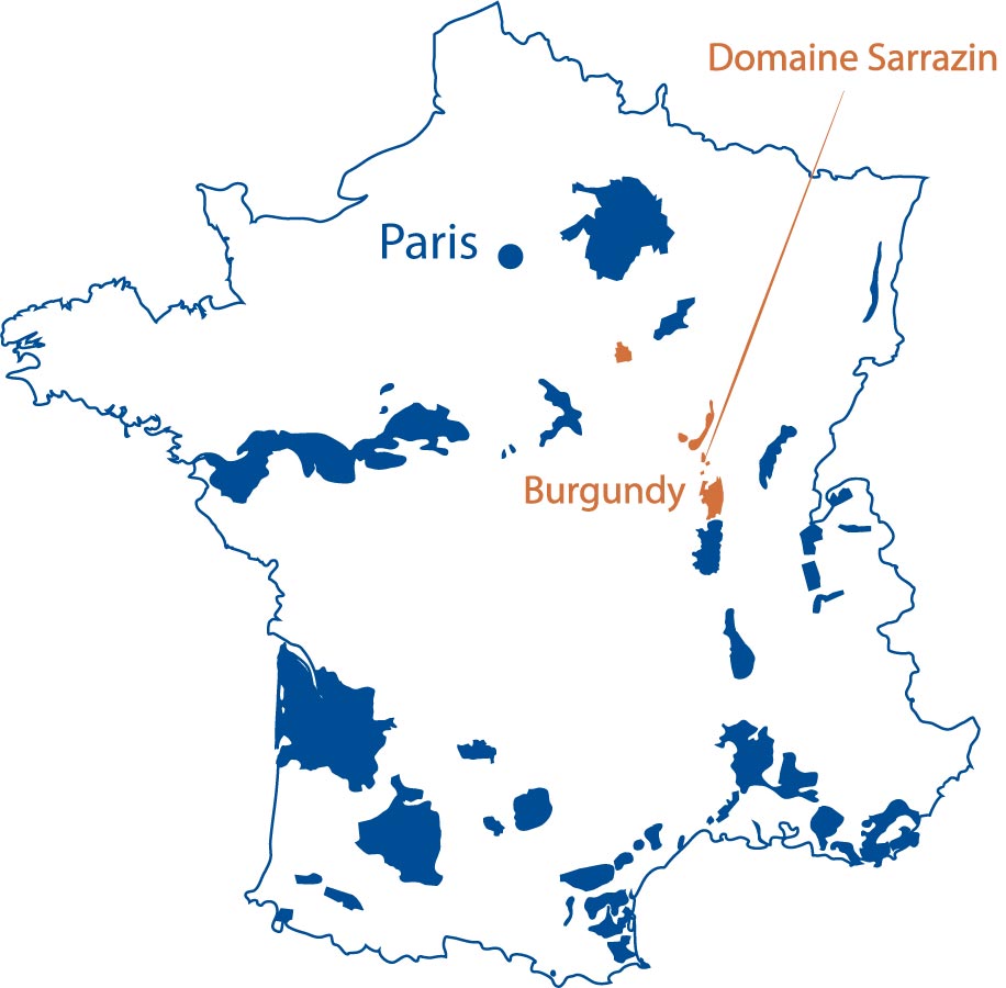 Domaine Michel Sarrazin et Fils Burgundy France