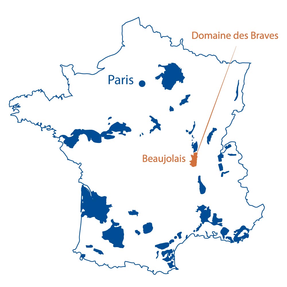 Domaine des Braves Beaujolais France North Berkeley Imports