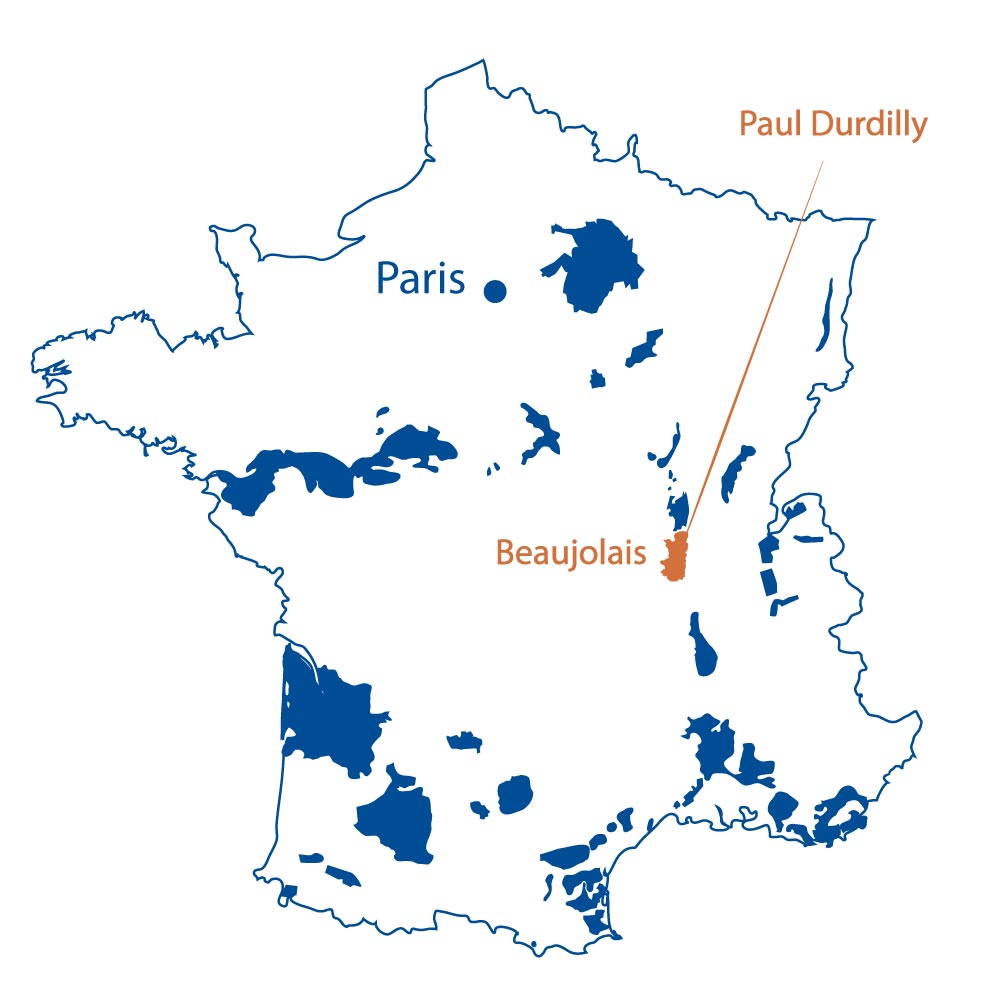 Domaine Paul Durdilly Beaujolais France North Berkeley Imports