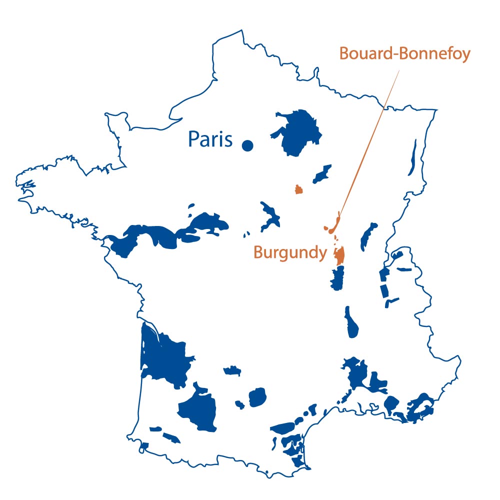 Domaine Bouard Bonnefoy Burgundy North Berkeley Imports
