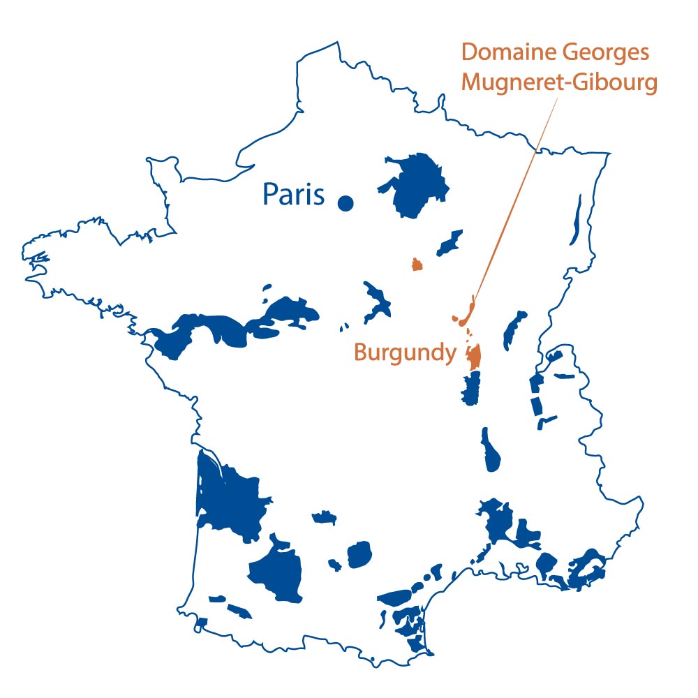 Domaine Georges Mugernet Gibourg Vosne Burgundy North Berkeley Imports