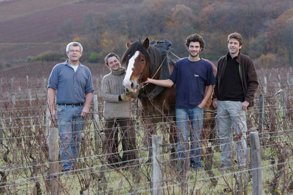 Domaine Arlaud Pere et Fils Burgundy North Berkeley Imports